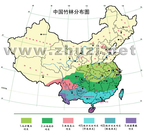 中國(guó)竹類(lèi)資源及分布